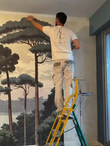 Ac Deco Artisan Peintre Merignac Artisan Peintre 3